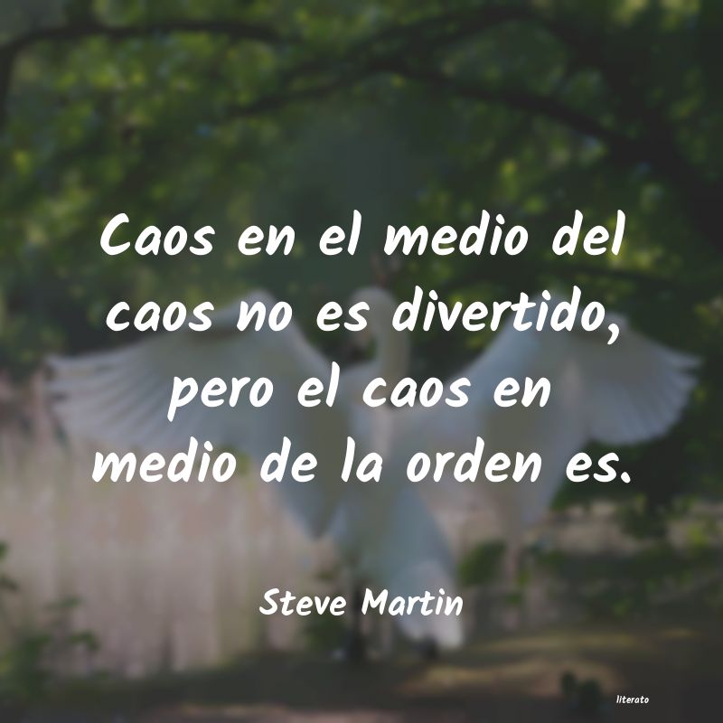 Frases de Steve Martin