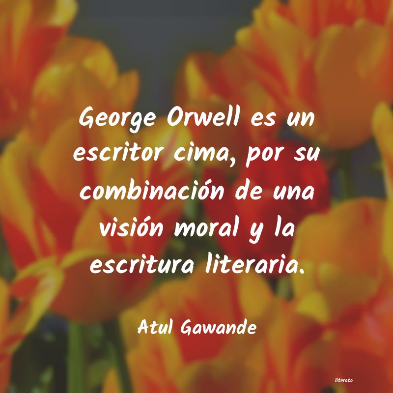 frases de Atul Gawande