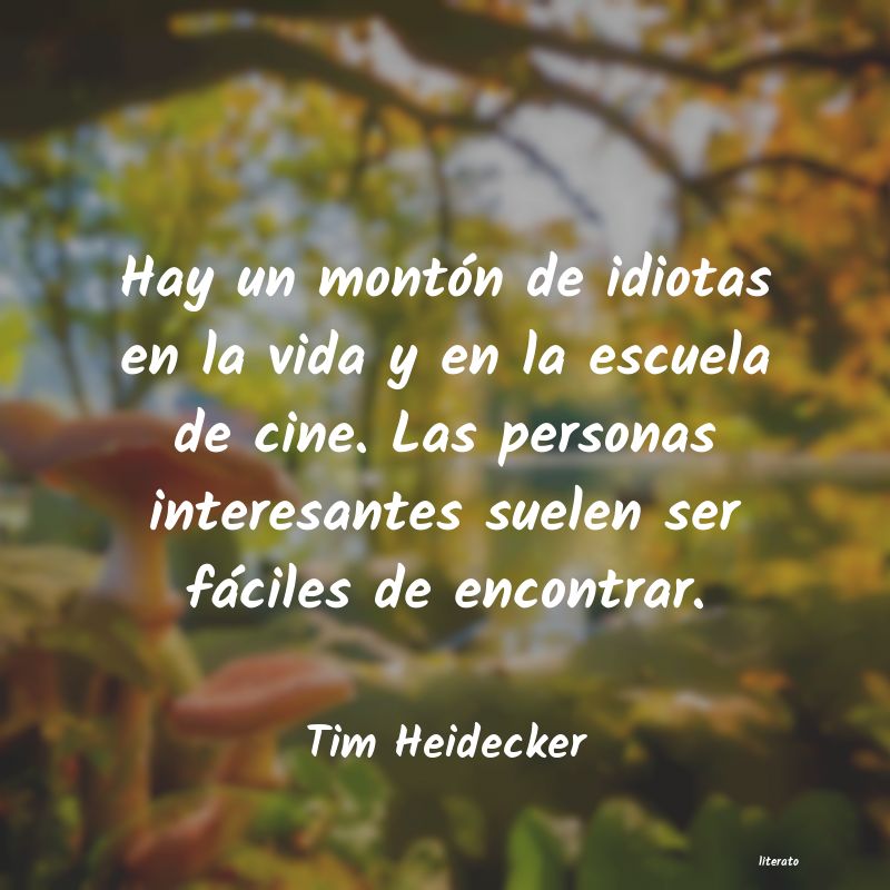 Frases de Tim Heidecker