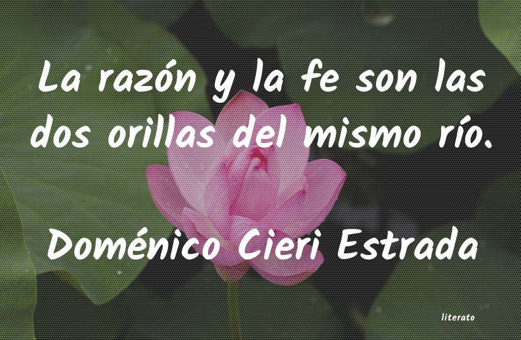 cieri domenico libros