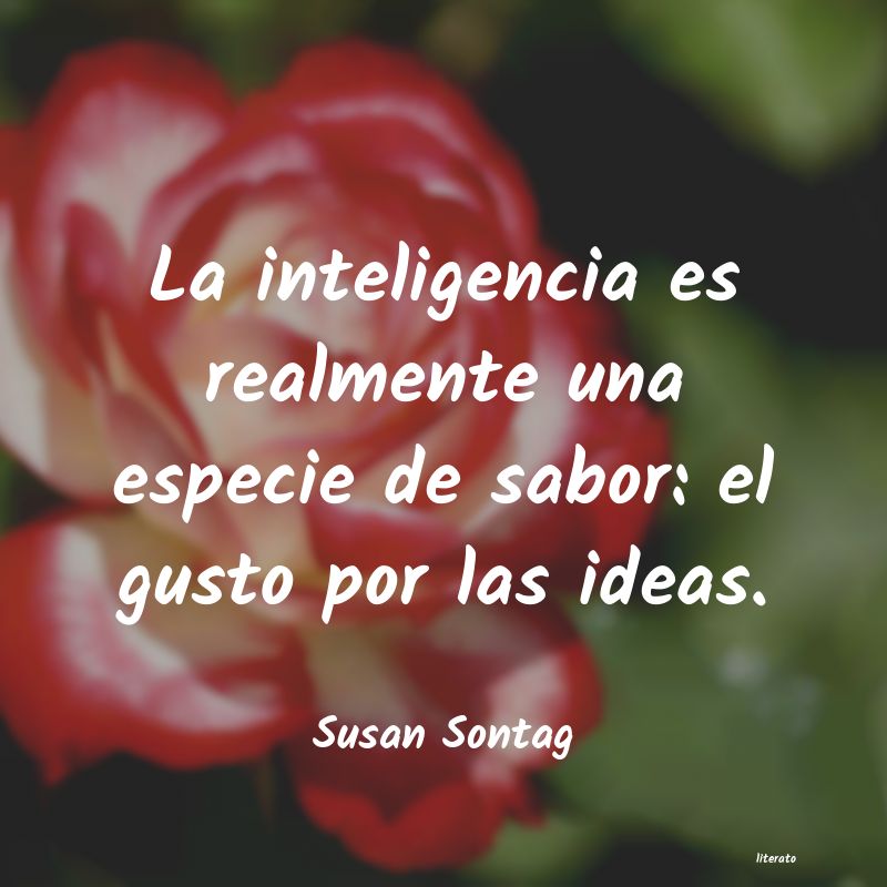 Frases de Susan Sontag