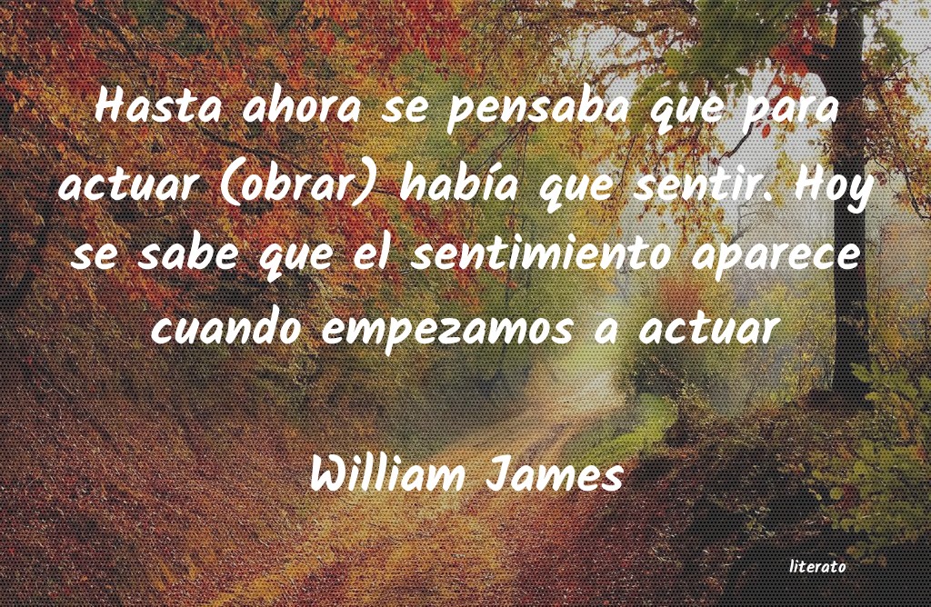 Frases de William James