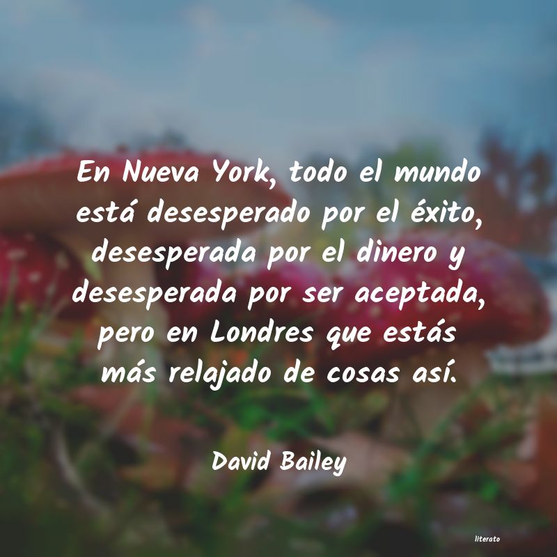 Frases de David Bailey