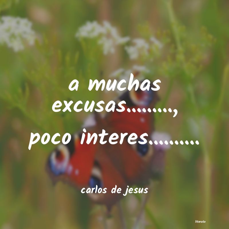 frases de carlos de jesus
