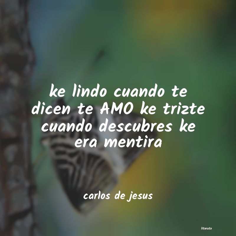 Frases de carlos de jesus