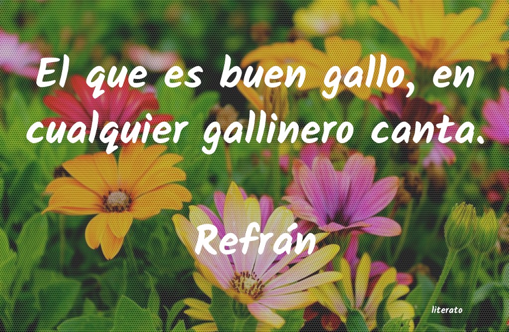 frases de Refrán
