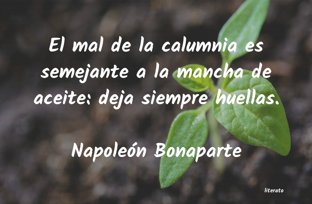 frases de NapoleÃ³n Bonaparte