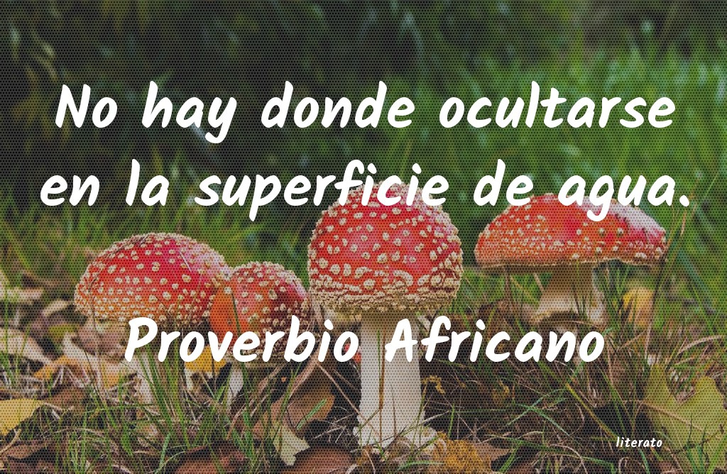 Frases de Proverbio Africano