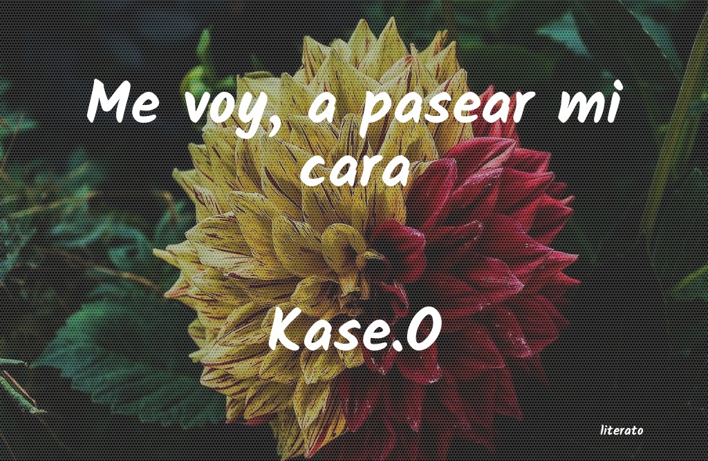 frases de Kase.O