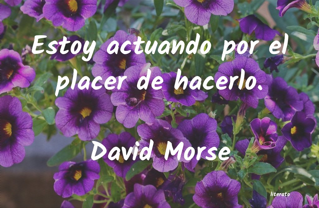 Frases de David Morse
