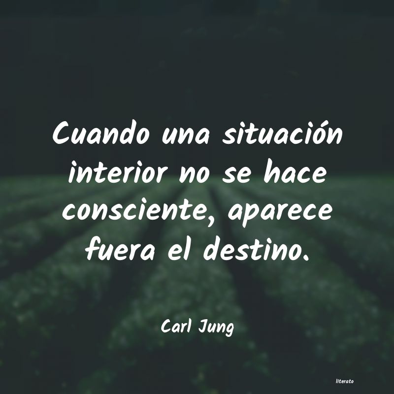 carl jung sentido