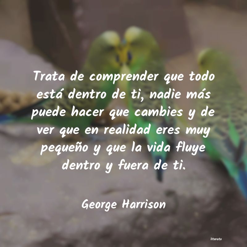 Frases de George Harrison