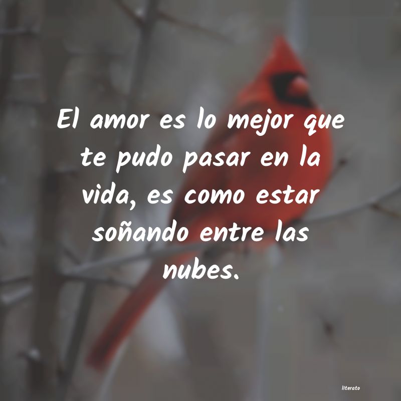 frases