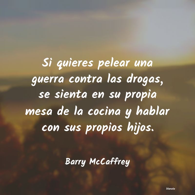 Frases de Barry McCaffrey