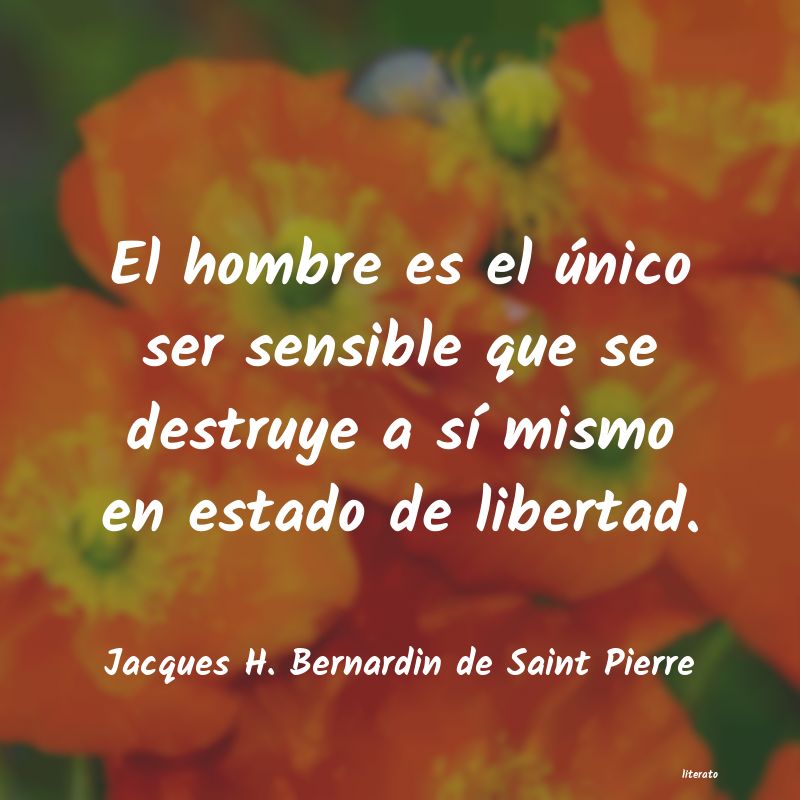 frases de Jacques H. Bernardin de Saint Pierre
