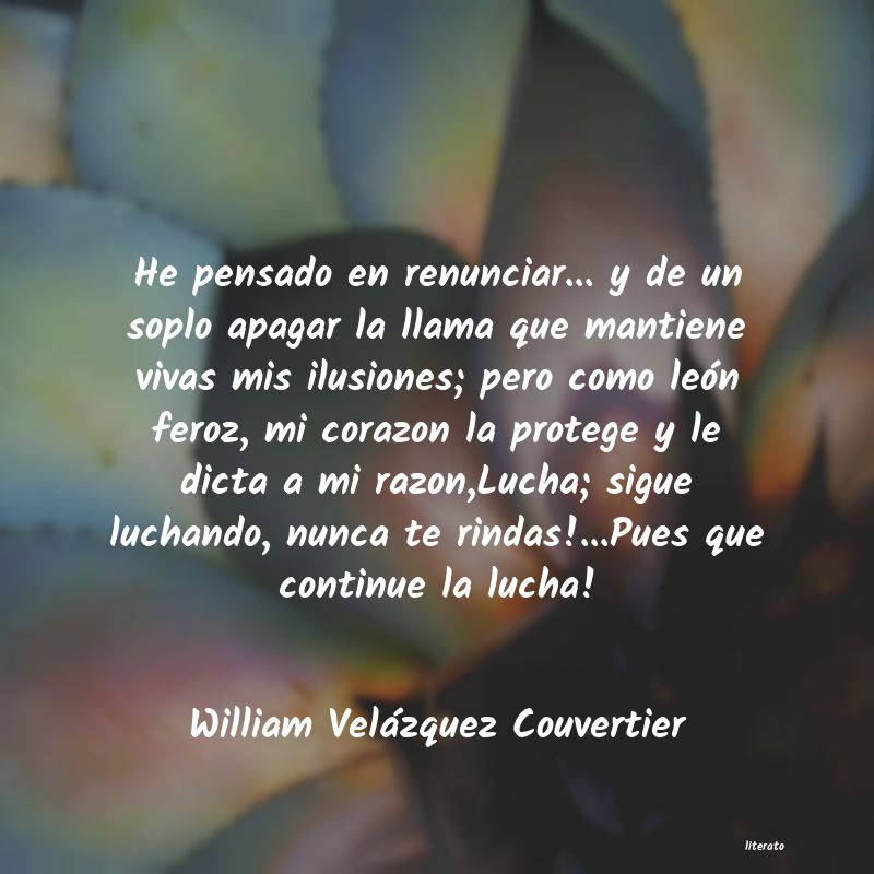 Frases de William Velázquez Couvertier