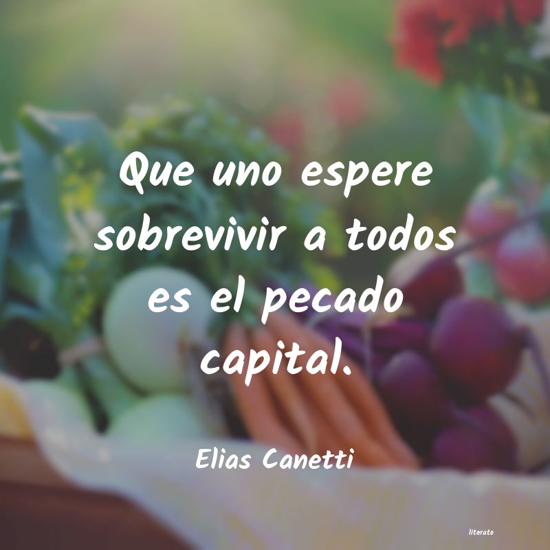 elias canetti conocimiento conocer mejor