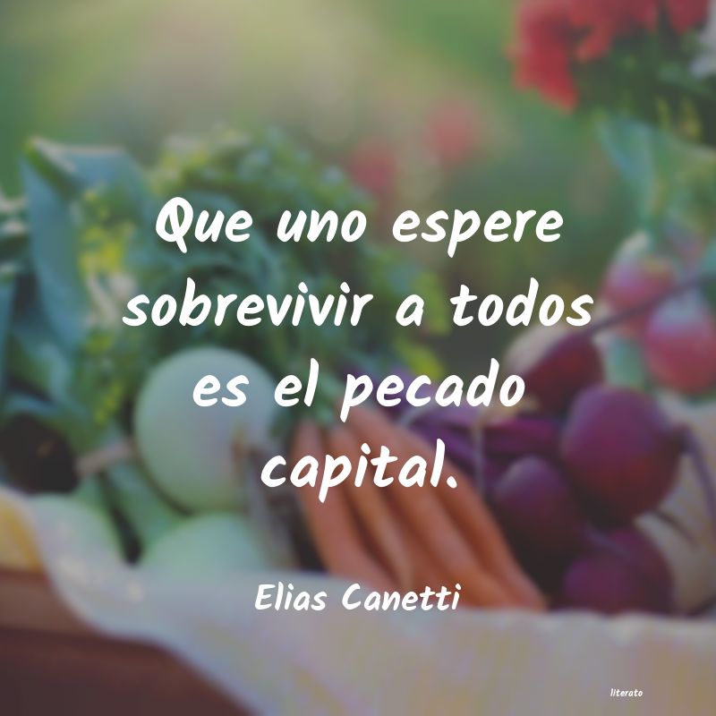 Frases de Elias Canetti