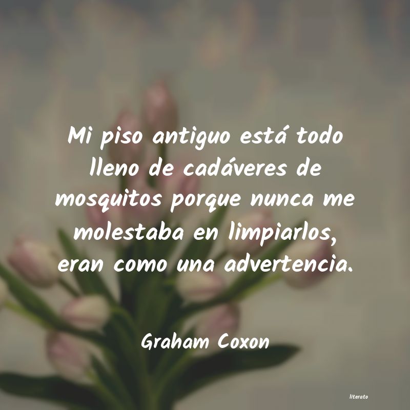 Frases de Graham Coxon