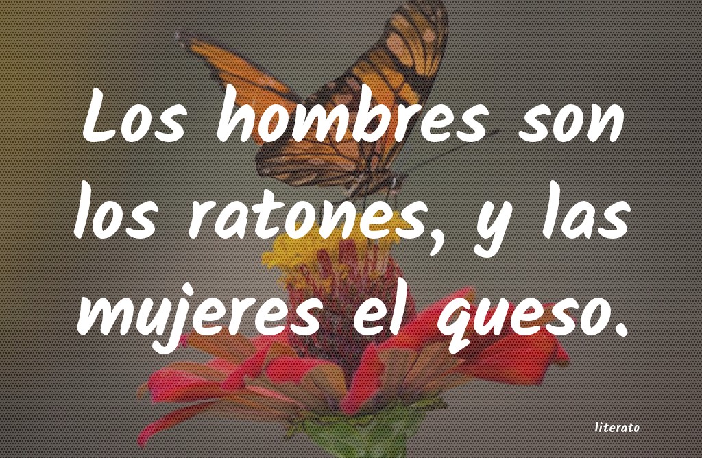 frases