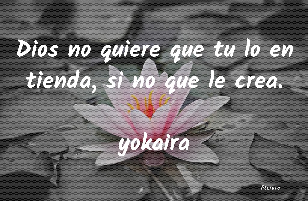 frases de yokaira