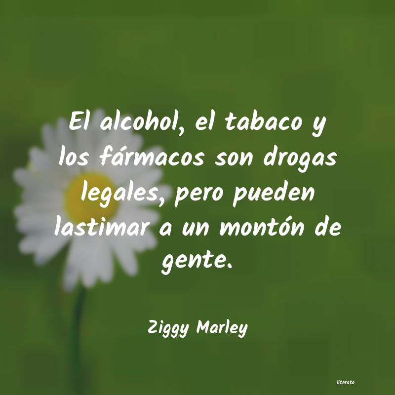 Frases de Ziggy Marley