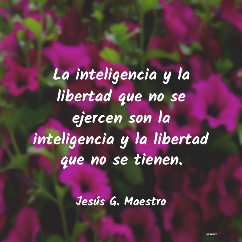 Frases de Jesús G. Maestro