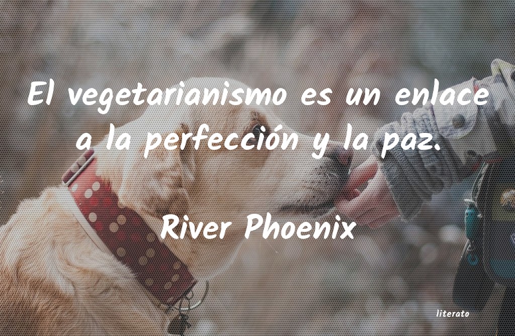 Frases de River Phoenix