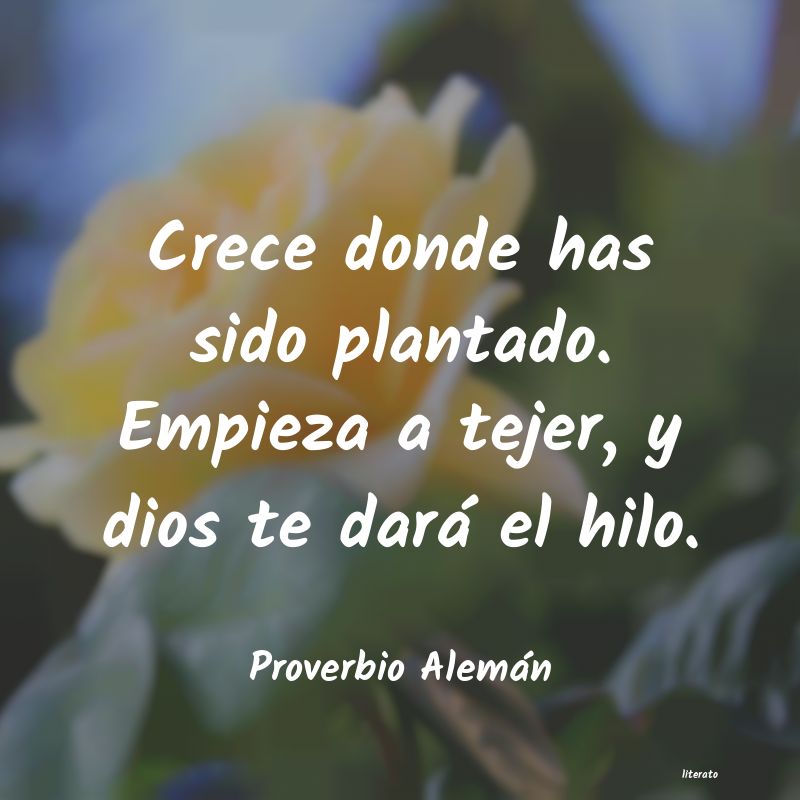 Frases de Proverbio Alemán