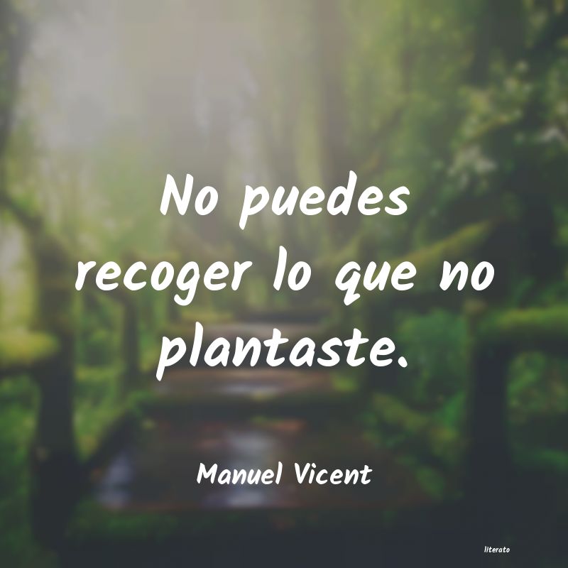 Frases de Manuel Vicent