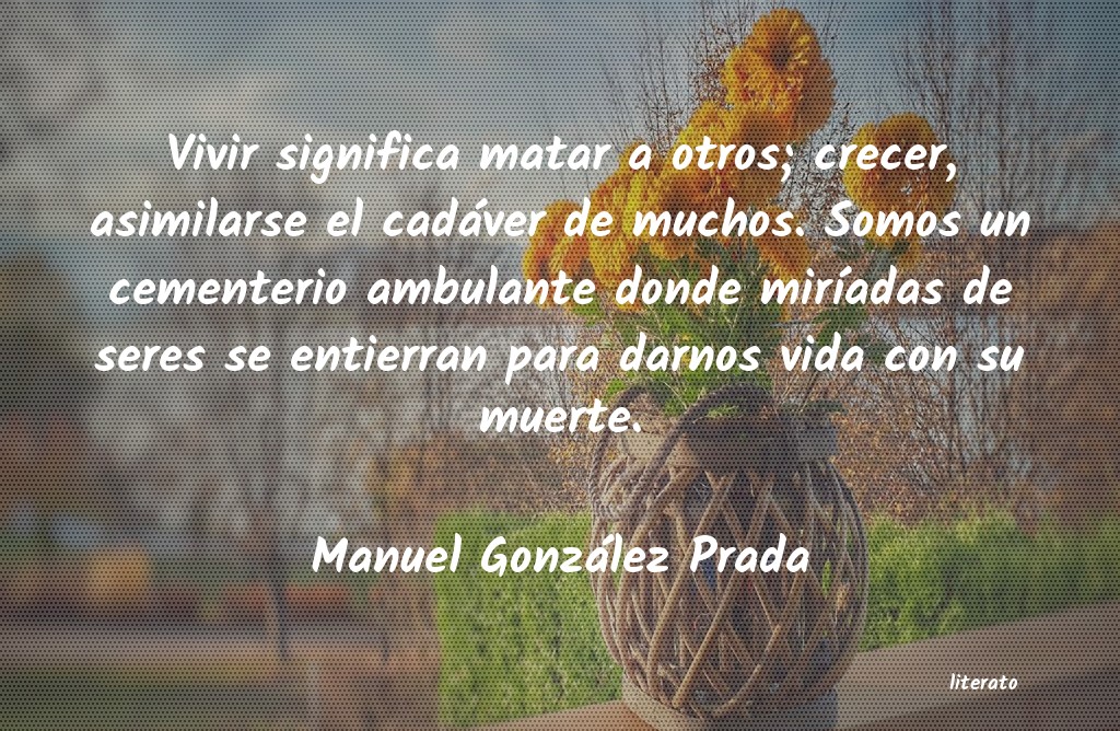 Frases de Manuel González Prada