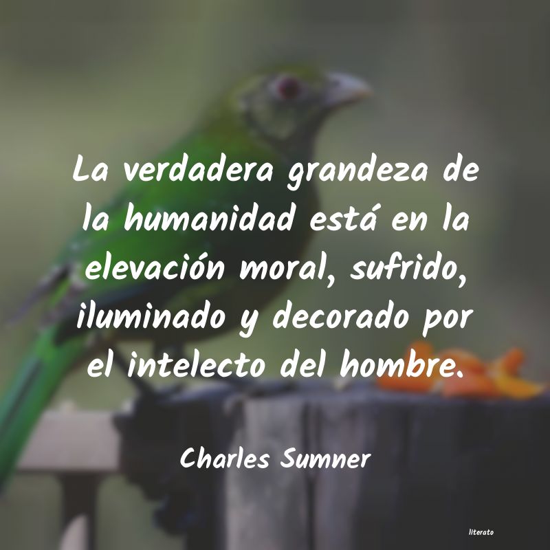 Frases de Charles Sumner