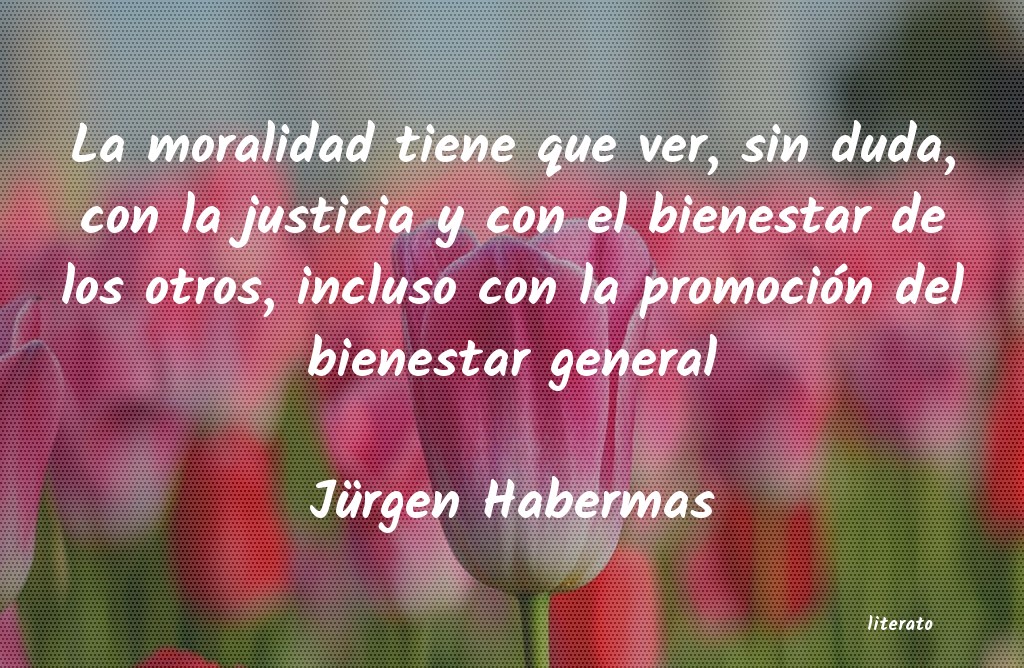 Frases de Jürgen Habermas