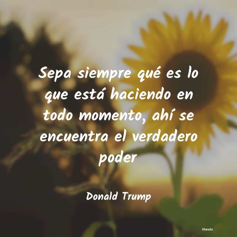 Frases de Donald Trump