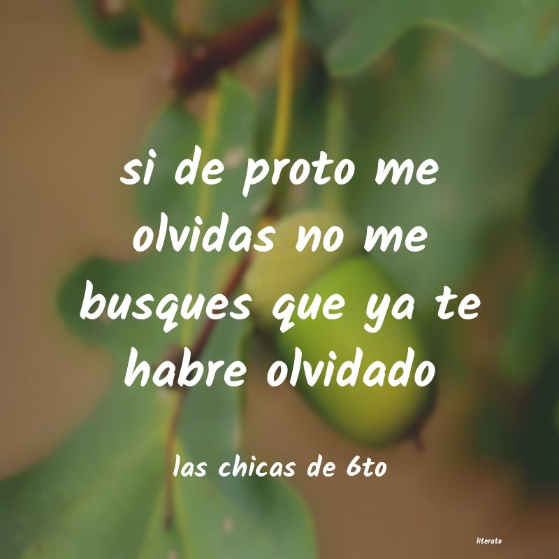 frases de las chicas de 6to