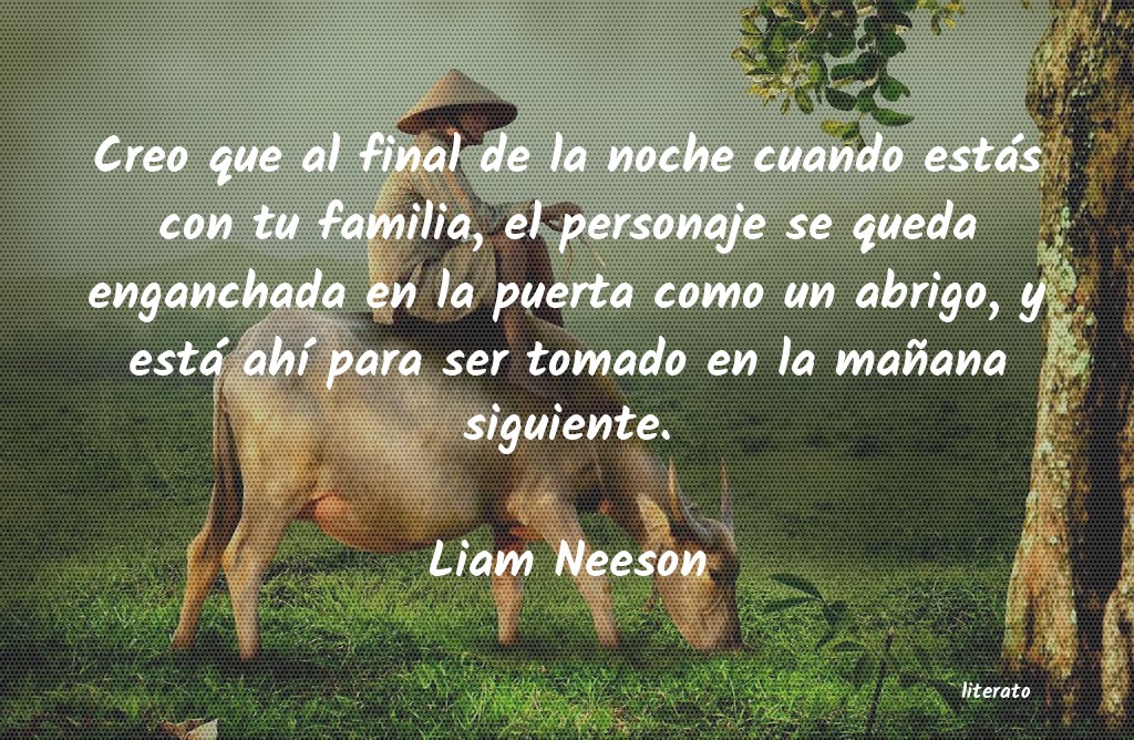 Frases de Liam Neeson