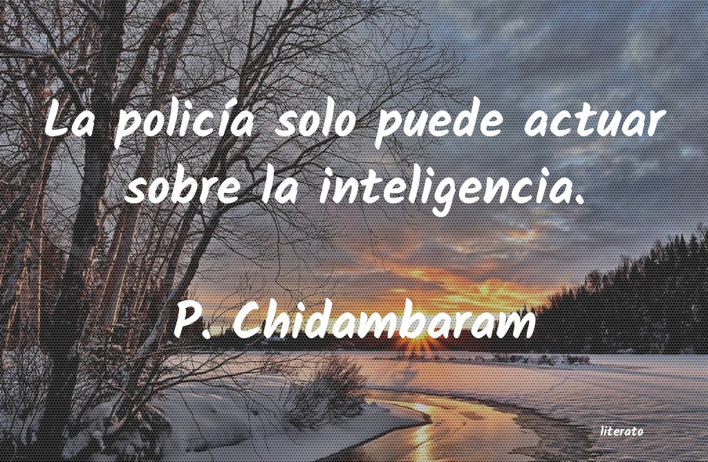 Frases de P. Chidambaram