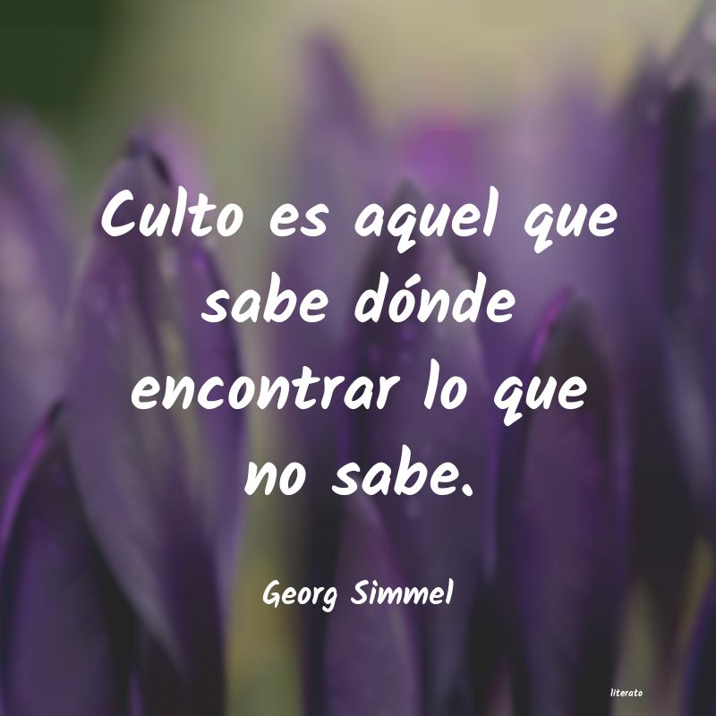 frases de Georg Simmel