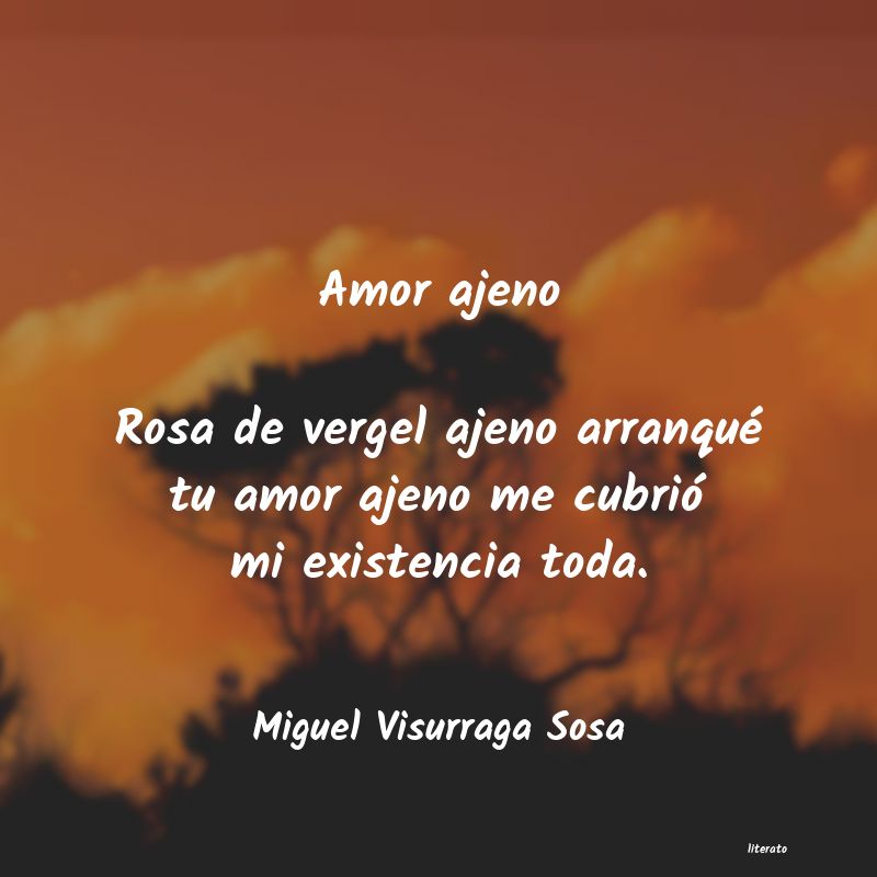 frases de Miguel Visurraga Sosa