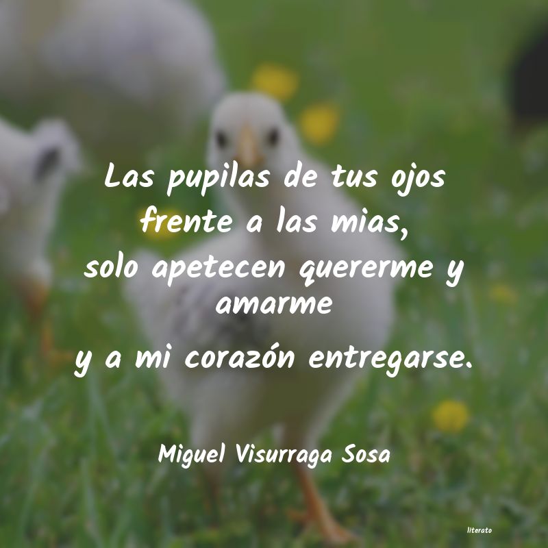 frases de Miguel Visurraga Sosa