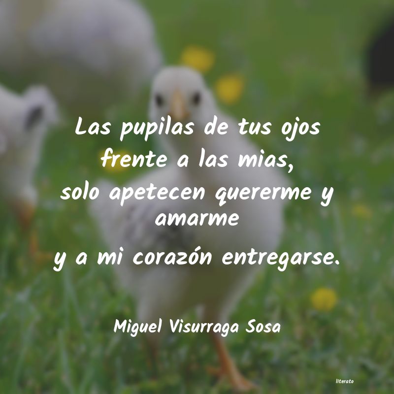 Frases de Miguel Visurraga Sosa