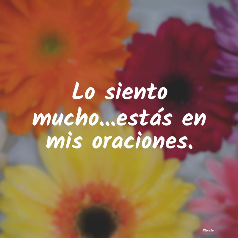 frases