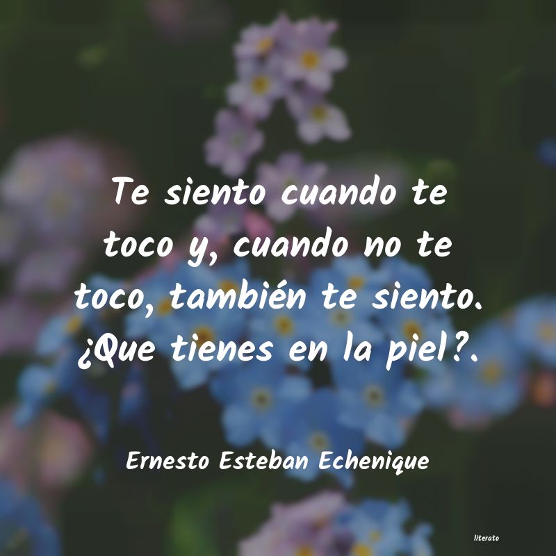 Frases de Ernesto Esteban Echenique