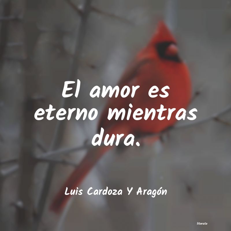 frases de Luis Cardoza Y AragÃ³n