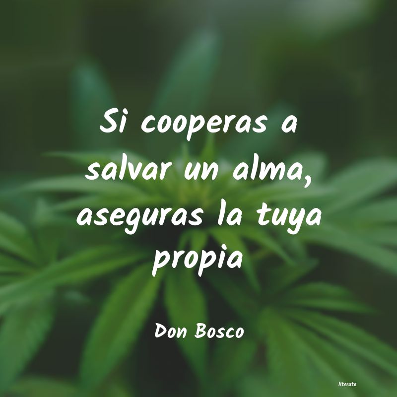 Frases de Don Bosco