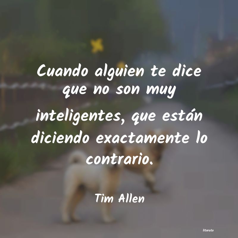 Frases de Tim Allen