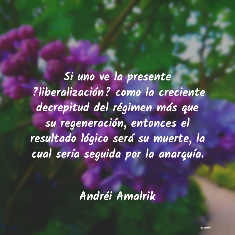 Frases de Andréi Amalrik