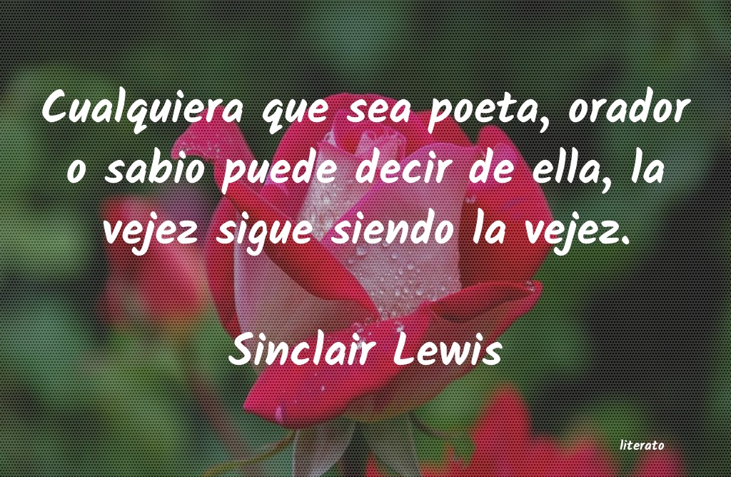 Frases de Sinclair Lewis