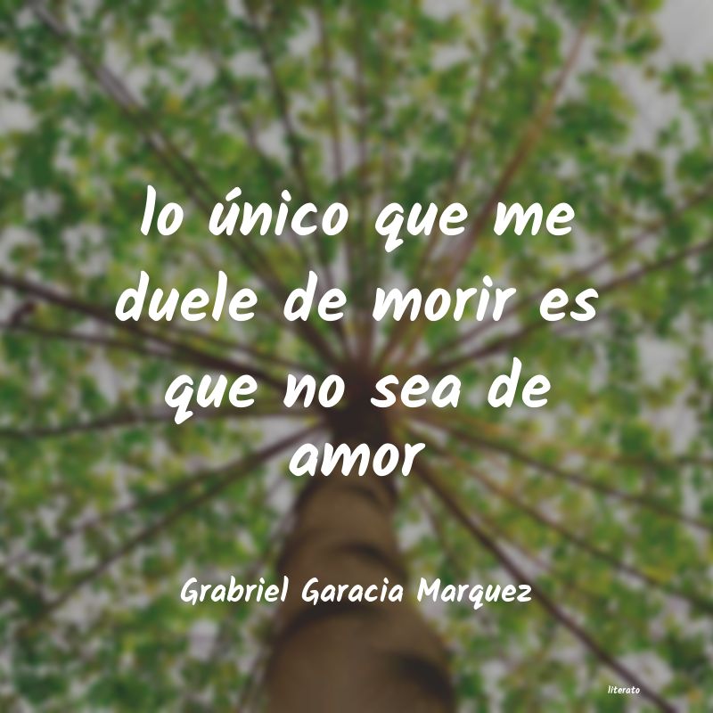 Frases de Grabriel Garacia Marquez