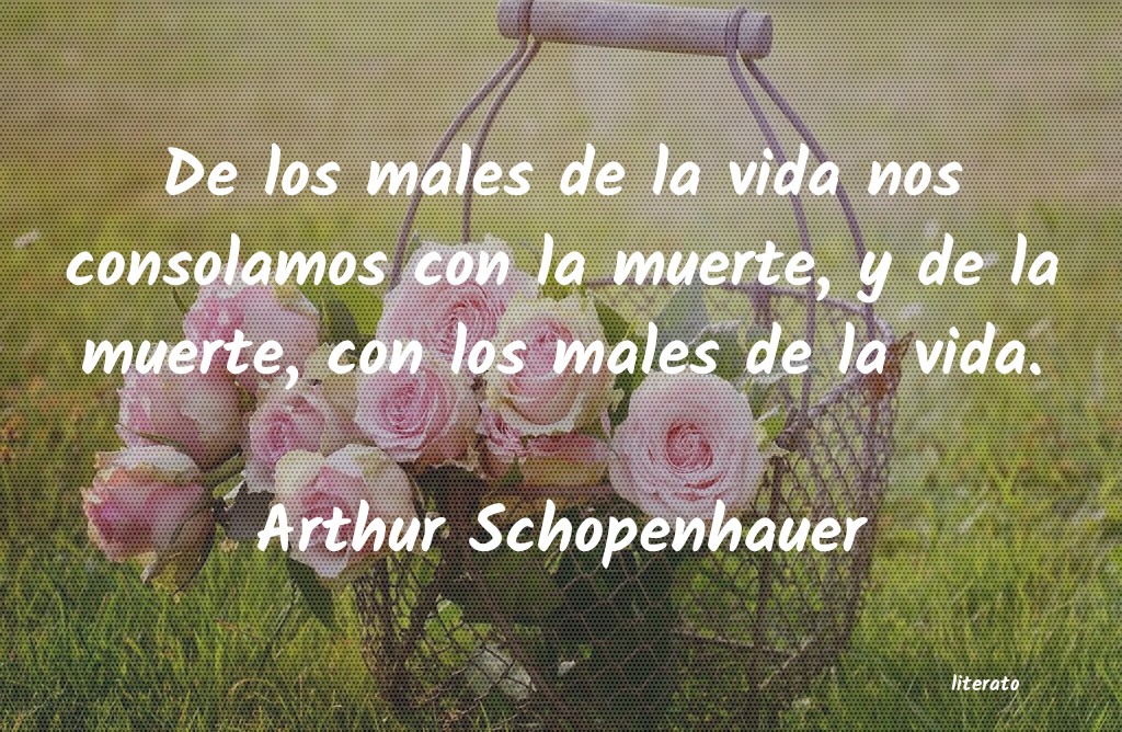 Frases de Arthur Schopenhauer